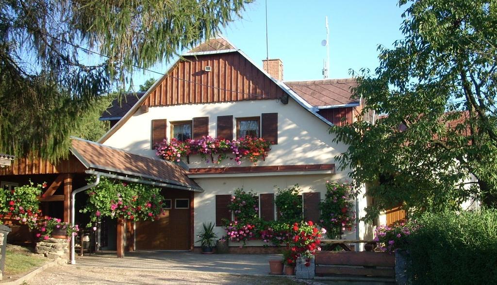 Pension Ivanka Jestrabi V Krkonosich Exterior foto
